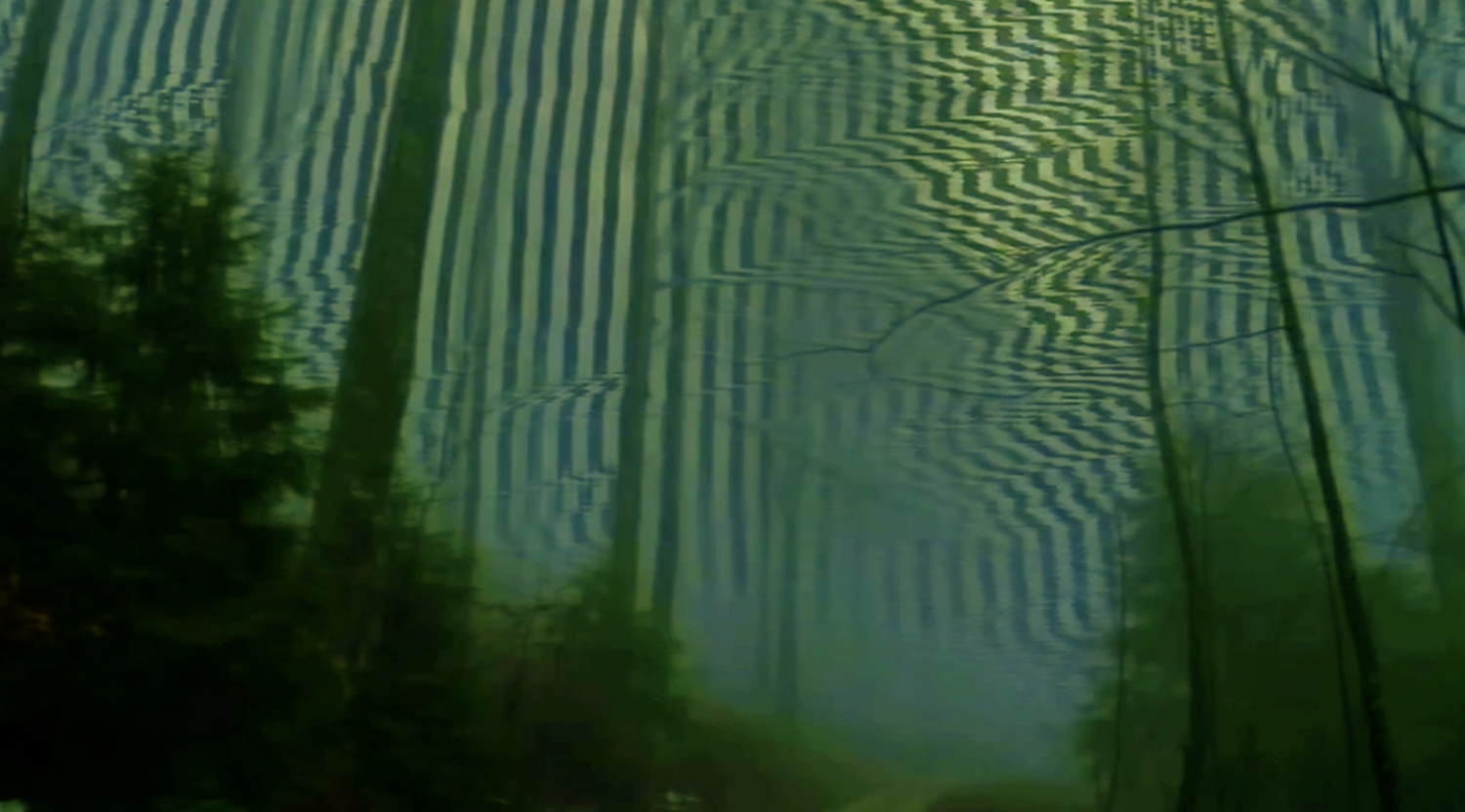 Untitled Decay Sequences